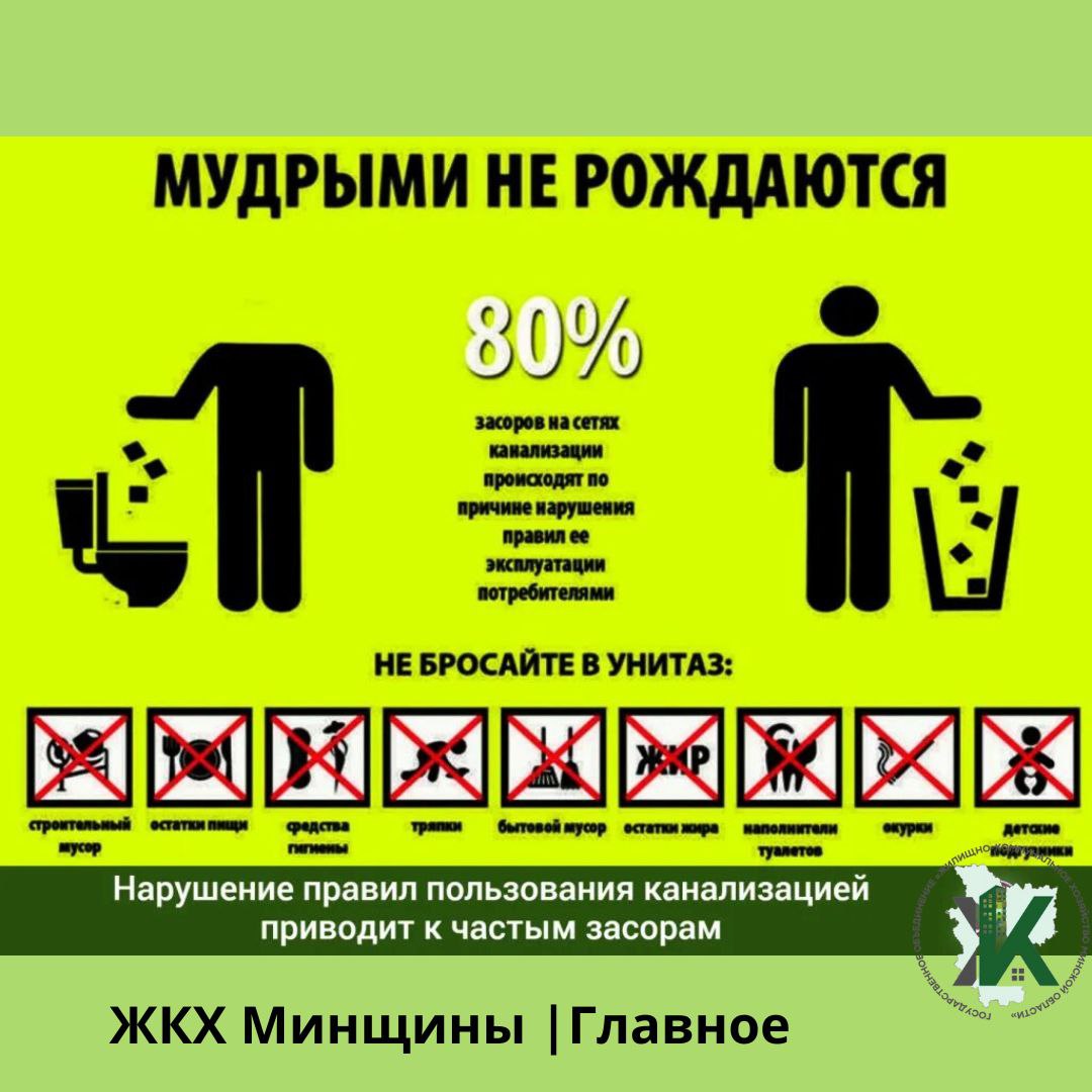 МУДРЫМИ НЕ РОЖДАЮТСЯ ИЛИ КАК НЕ ОМРАЧИТЬ СЕБЕ ПРАЗДНИК
