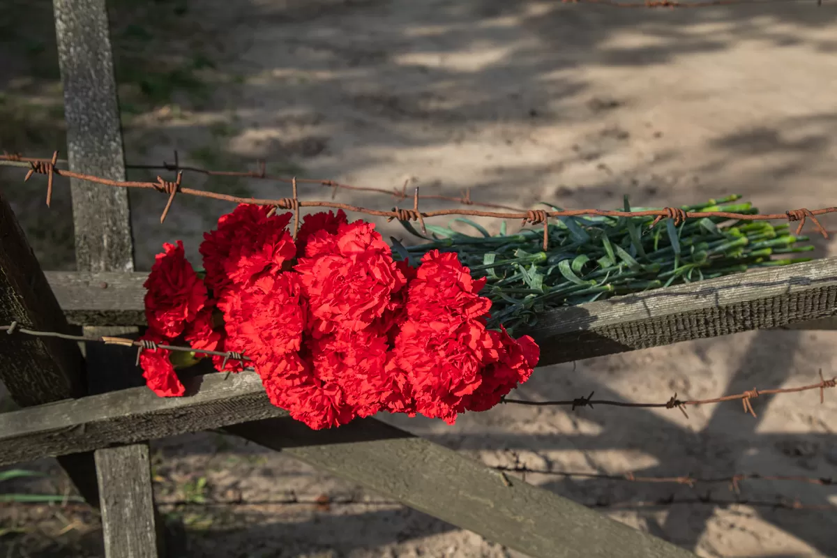 ПРОФСОЮЗЫ ГОТОВЫ ПОДКЛЮЧИТЬСЯ К ОБУСТРОЙСТВУ МЕМОРИАЛЬНОГО КОМПЛЕКСА НА БРОННОЙ ГОРЕ