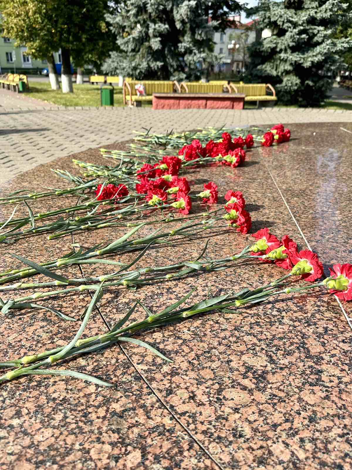изображение viber 2023 09 21 08 59 30 926
